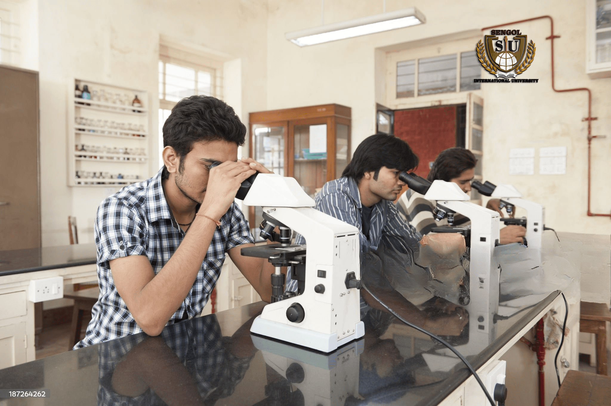 School of Science